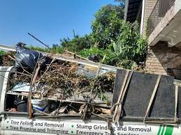 Best Demolition Debris Removal in Stafford, TX